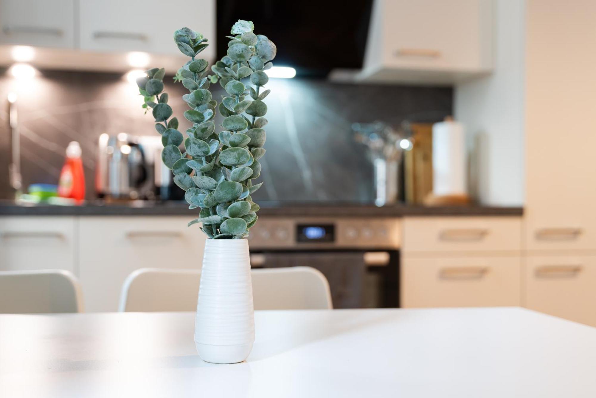 Vienna City Apartment 1020 וינה מראה חיצוני תמונה