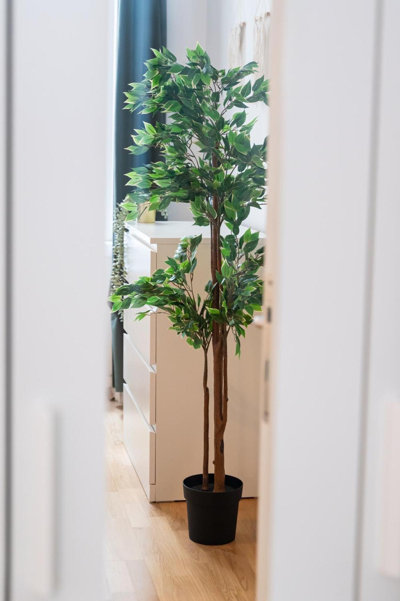 Vienna City Apartment 1020 וינה מראה חיצוני תמונה